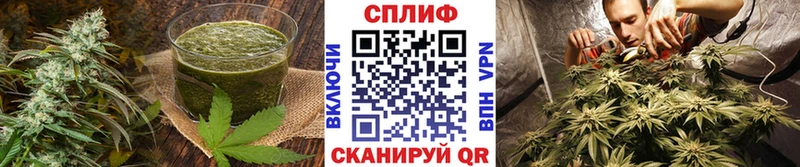 где можно купить   Ладушкин  Cannafood конопля 