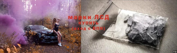гидра Магас