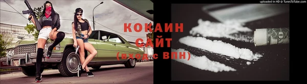 крисы Майский