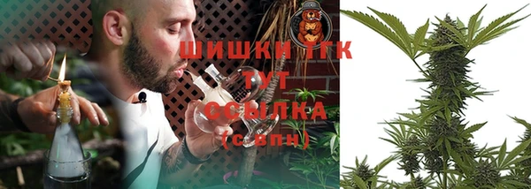 гидра Магас