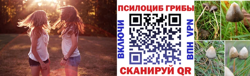 МЕГА tor Ладушкин Галлюциногенные грибы Cubensis продажа наркотиков