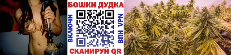 что такое   Ладушкин  Бошки марихуана семена 